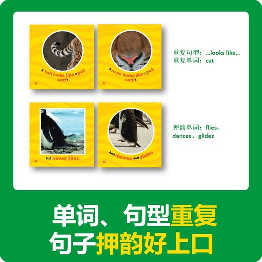 【99选3】美国国家地理-猜猜他是谁 商品图4