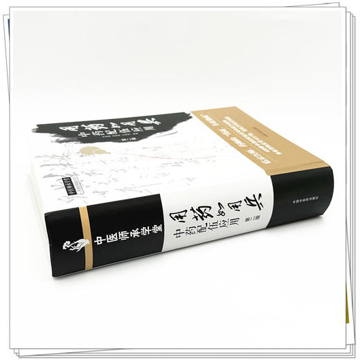 用药如用兵:中药配伍应用(第二版) 冯建春 史原朋 王新昌 编著 中国中医药出版社 中医师承学堂 临床书籍 商品图2