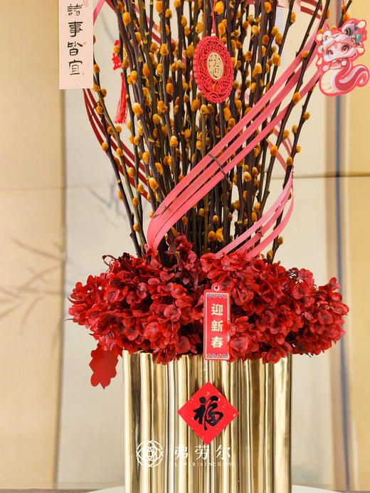 年年有银留（橙色款） 商品图3