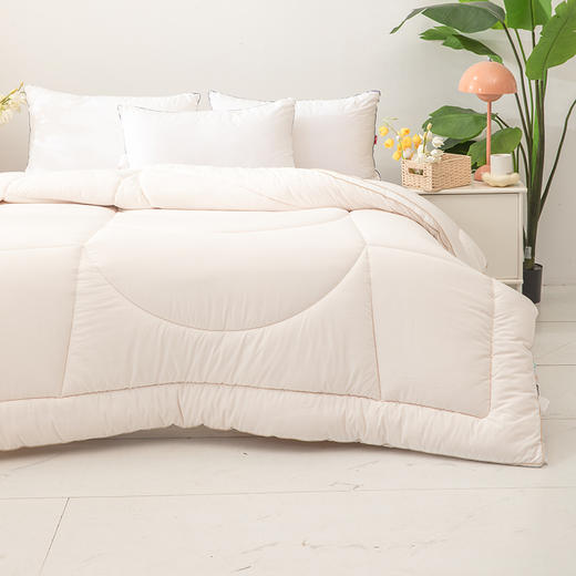 多喜爱 甄芯暖意大豆加厚冬被 蓬松柔软 磨绒面料柔软亲肤 科学配比 加厚暖感 分区绗缝设计织带工艺无纺布袋包装 商品图2