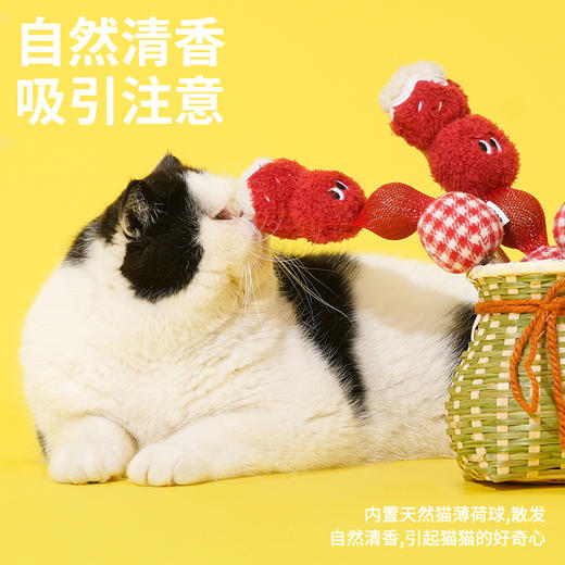 zeze糖葫芦猫薄荷球玩具-B （包邮） 商品图3