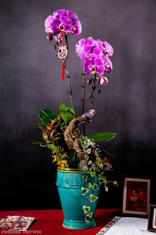 福蛇迎春 商品图1