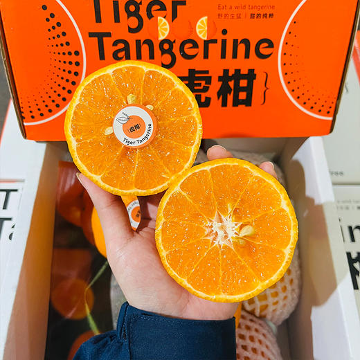 新鲜柑橘 云南虎柑一箱约4斤 礼盒装 商品图7