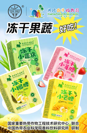 兴科冻干果蔬系列小零食/兴隆热带植物园/