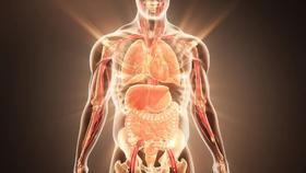  为啥艾灸几个月不管用？跟这些因素都有关！ 