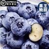 【顺丰空运】东北丹东L25蓝莓鲜果 脆甜花香个大 营养丰富 现摘现发 新鲜水果 - BYKSG 商品缩略图1