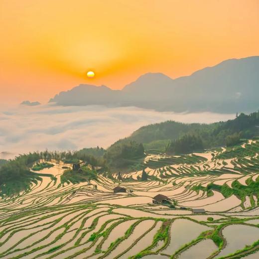 边玩边养老丨漫游丽水，遇见仙气十足的江南秘境，尽享绿林氧吧与梯田古村之美！ 商品图3