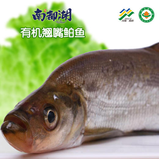 南都湖有机翘白 (去鳞、鳞、内脏）500g/袋 商品图0