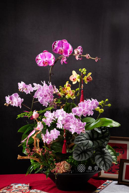 岁岁平安 商品图0