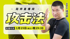 【1月15日】攻击法
