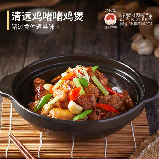 【原生态放养 自寻觅食】天农清远鸡 皮爽肉滑 肉质鲜嫩细腻 商品图2