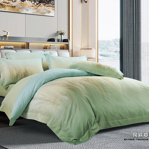 鑫缘 艾草阳绒印花四件套 DMH4418 商品图7