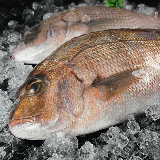 【环球甄选礼盒】海底食界女王与鲜生 九种海鲜礼盒大礼包年帝王蟹 商品图5