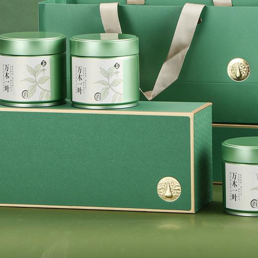 万木一叶【91矮罐三合一 绿色】35元一套 一件18套 商品图2