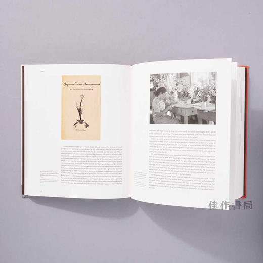 Boundary Trouble in American Vanguard Art、1920-2020 (Volume 84) / 1920-2020年美国前卫艺术中的边界问题（第84卷） 商品图3