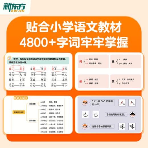 【新东方】小学语文字词积累手册 : 三步积累法 商品图4