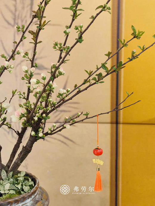 彩玉海棠 商品图3