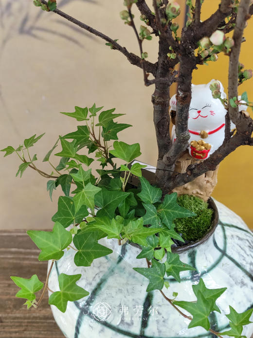 百花盛开 商品图1