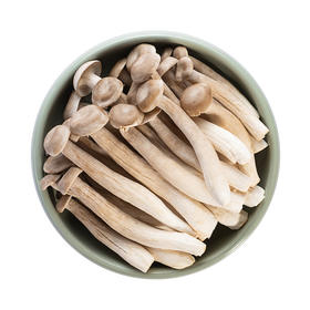 MM 山姆 鹿茸菇 500g