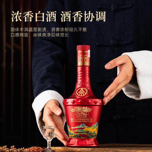 【春节热款】五粮液天下酒仓-江山如画 浓香型白酒 52%vol 500ml*6瓶 商品图5