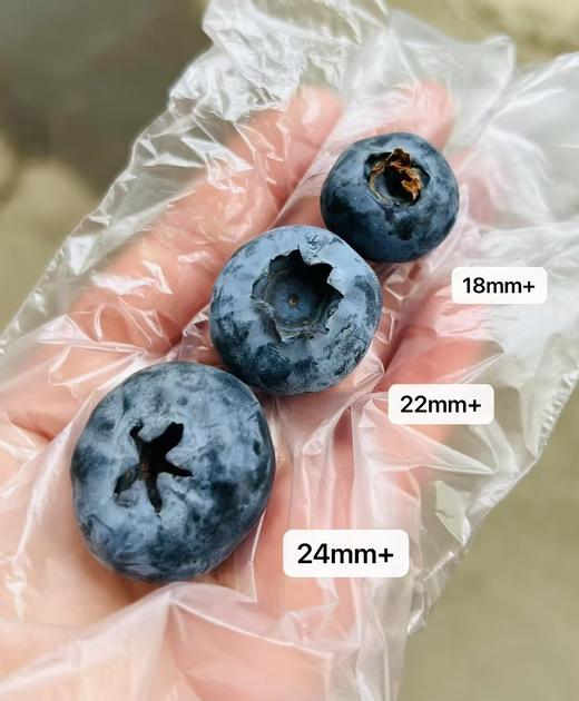 超大！更脆！Driscolls'小钻石蓝莓，22cm+，ji品！尊贵彰显气质款，每一颗都带着淡淡兰花清香！ 商品图2