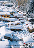 【尊享喜来登· 玩转冰雪圣地】黑龙江双飞6日 商品缩略图2