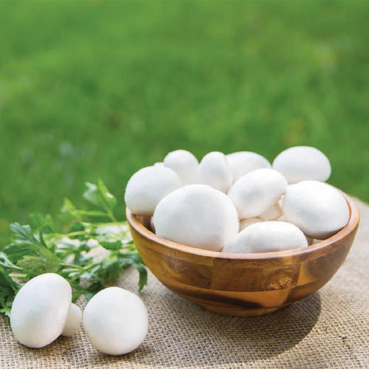 MM 山姆 白蘑菇 700g（350g*2） 商品图4