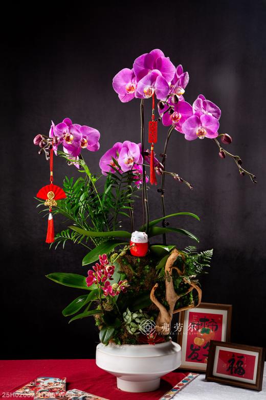 四季平安 商品图0