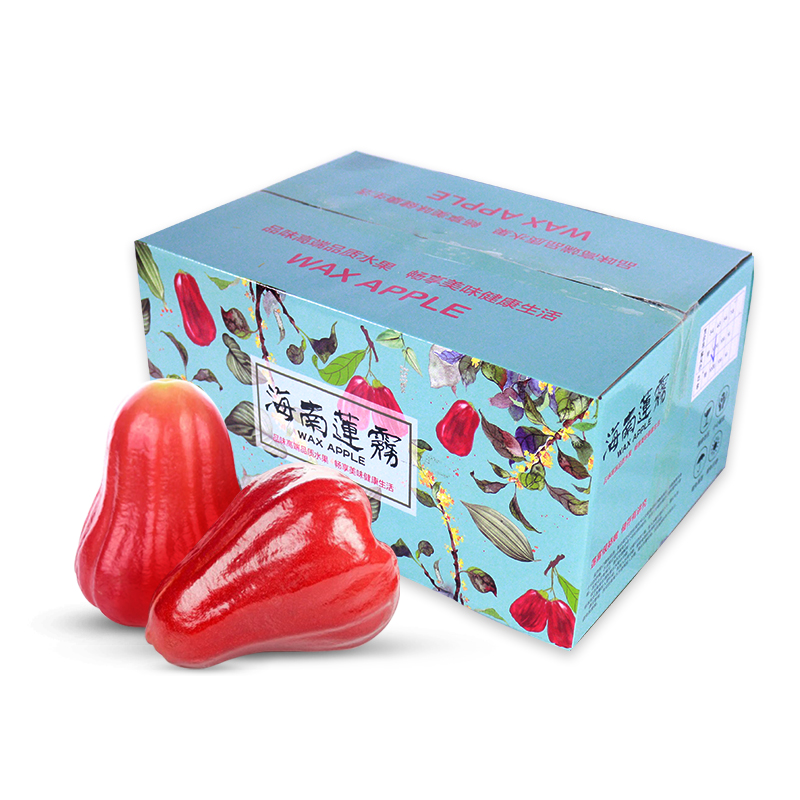 莲雾姐 海南莲雾一件约3斤 低脂、低卡、低热量 清甜多汁