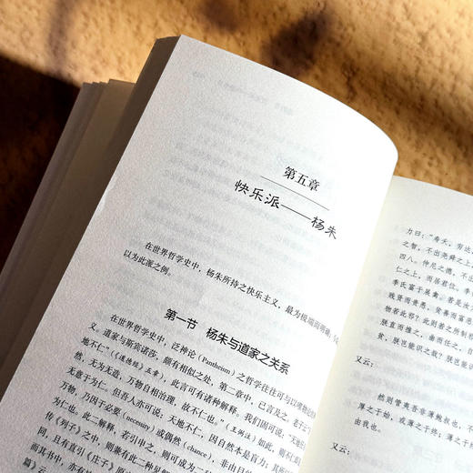 人生哲学 哲学家冯友兰 探求人生真相 追寻人生目标 商品图8