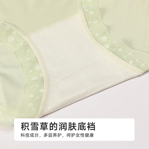 都市丽人木代尔系列高支莫代尔纤柔绵平角裤LKH5D6 商品图7