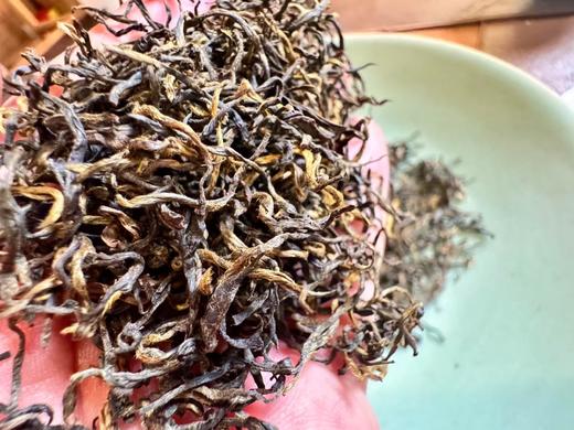 24春 金骏眉[桐木荒山] 一款尴尬的茶  正山小种红茶  125克起 商品图1