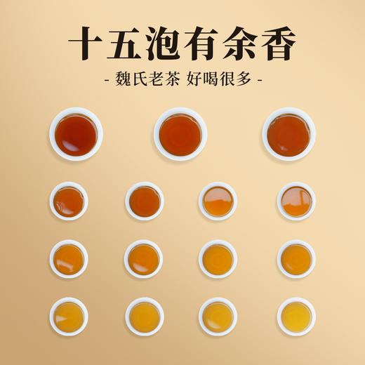 90年代 正山大业茶砖 养生老茶砖 量少稀缺，适合收藏（500克/砖） 商品图2