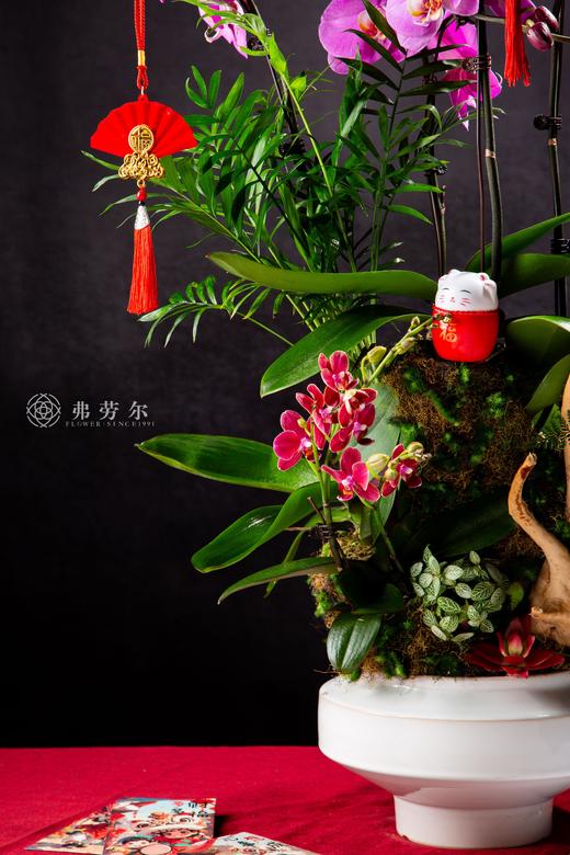 四季平安 商品图1