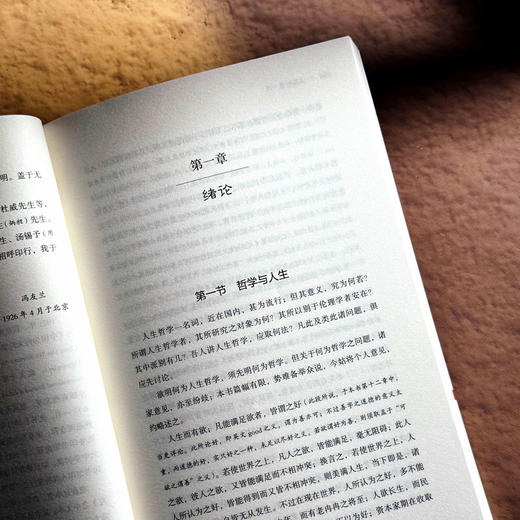 人生哲学 哲学家冯友兰 探求人生真相 追寻人生目标 商品图7