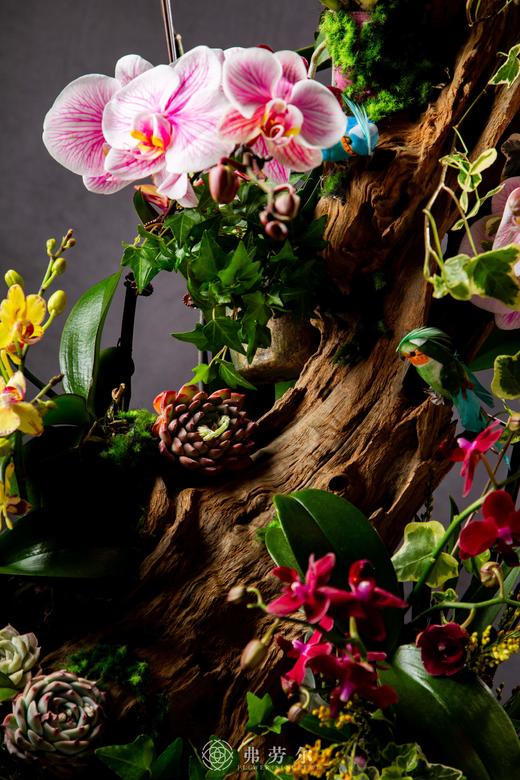 祥蛇贺岁 商品图2