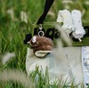 Logaloga可爱蛇年公仔吉祥物缠绕玩偶 商品缩略图5