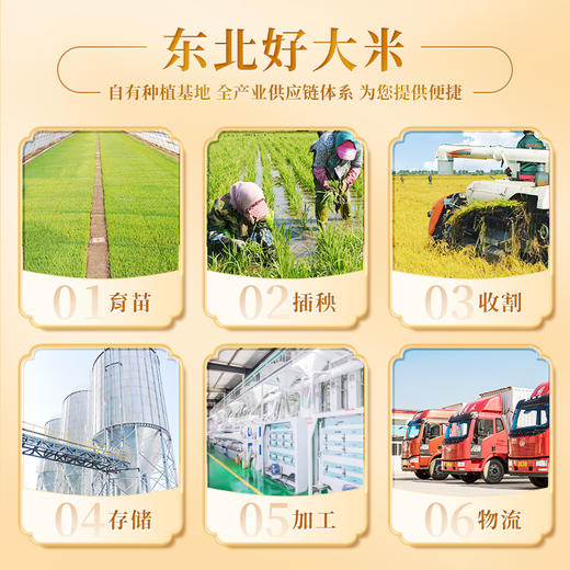 五常稻花香大米， 米中贵族，连白米饭都是人间美味 商品图7