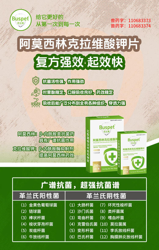 巴士宠阿莫西林克拉维酸钾片8片消炎片宠物感冒药线下专供 带兽药字 速诺同款成份 商品图3