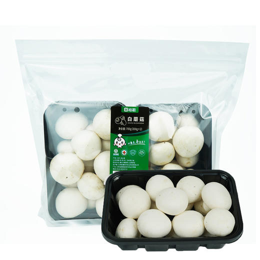 MM 山姆 白蘑菇 700g（350g*2） 商品图6