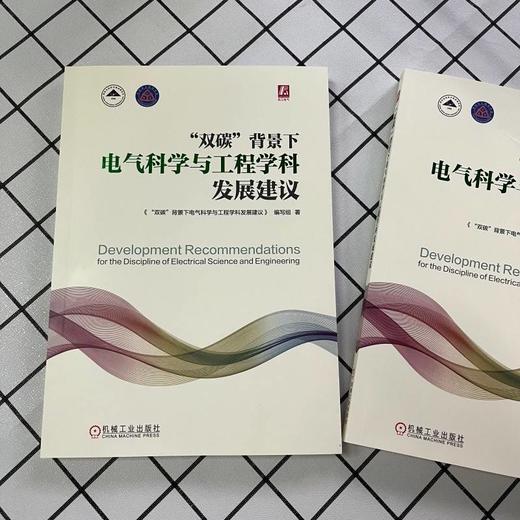 官网 双碳背景下电气科学与工程学科发展建议 双碳背景下电气科学与工程学科发展建议编写组 电气科学 工程学科 发展现状书籍 商品图1