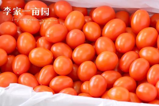 妮小番蜜橙小番茄 商品图5
