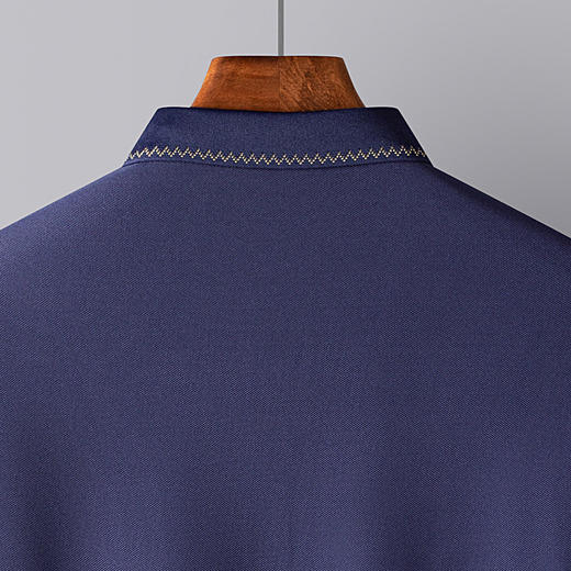 罗蒙男士春秋长袖polo衫休闲百搭t恤男商务通勤长袖上衣 商品图4