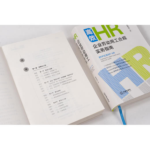 高效HR:企业劳动用工合规实务指南 谢炳城著 法律出版社 商品图5
