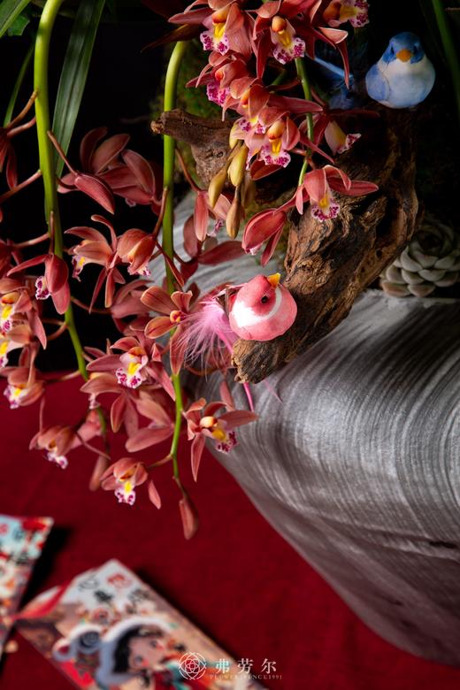 珠还蛇舞来 商品图4