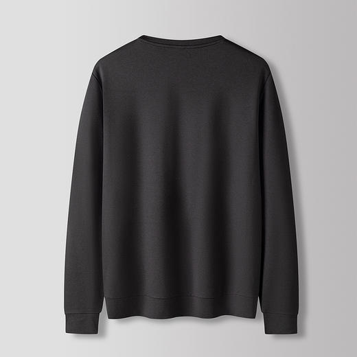 罗蒙男士长袖卫衣商务通勤百搭男士卫衣舒适休闲男长袖上衣 商品图1