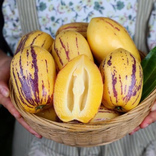 【分仓直发包邮】甘肃民勤沙漠人参果3斤（10-15个）中果， 单果100-150g 商品图2