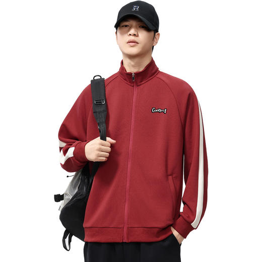 【新款DQ】大依优型大码男装330Gg立领开衫卫衣男宽松百搭撞色拉链外套潮流加肥加大上衣男士 商品图6