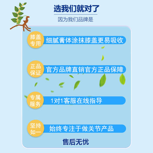 【张之灵方】骨古官方正品族方旗舰秘散汉晋译方旗下直营膝盖软膏 商品图3