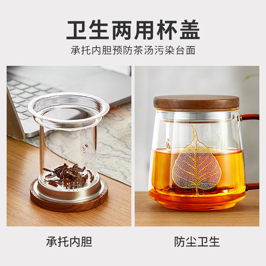 雅集玻璃杯一叶菩提杯500ml（木盖款） 商品图5